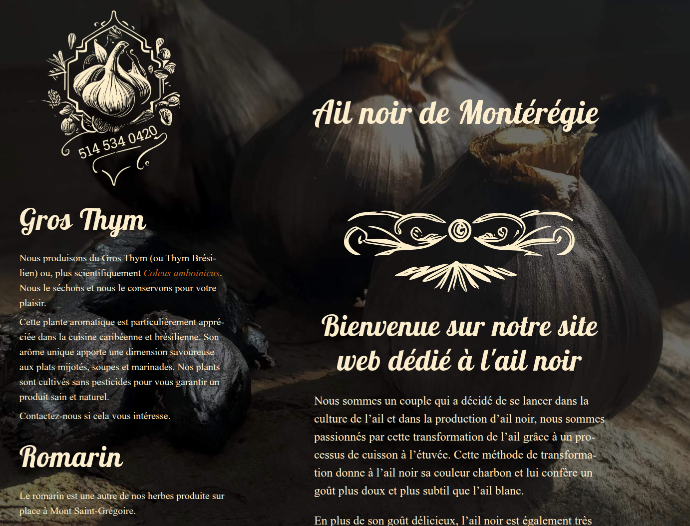 Portfolio Snapshot: Ailnoir Quebec